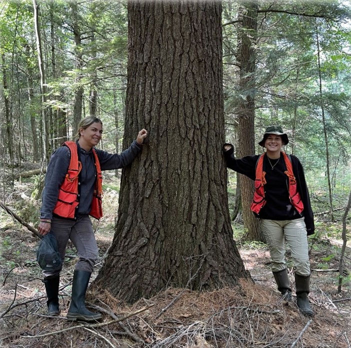 UW Stevens point student leaning against trees as they perform a forest inventory