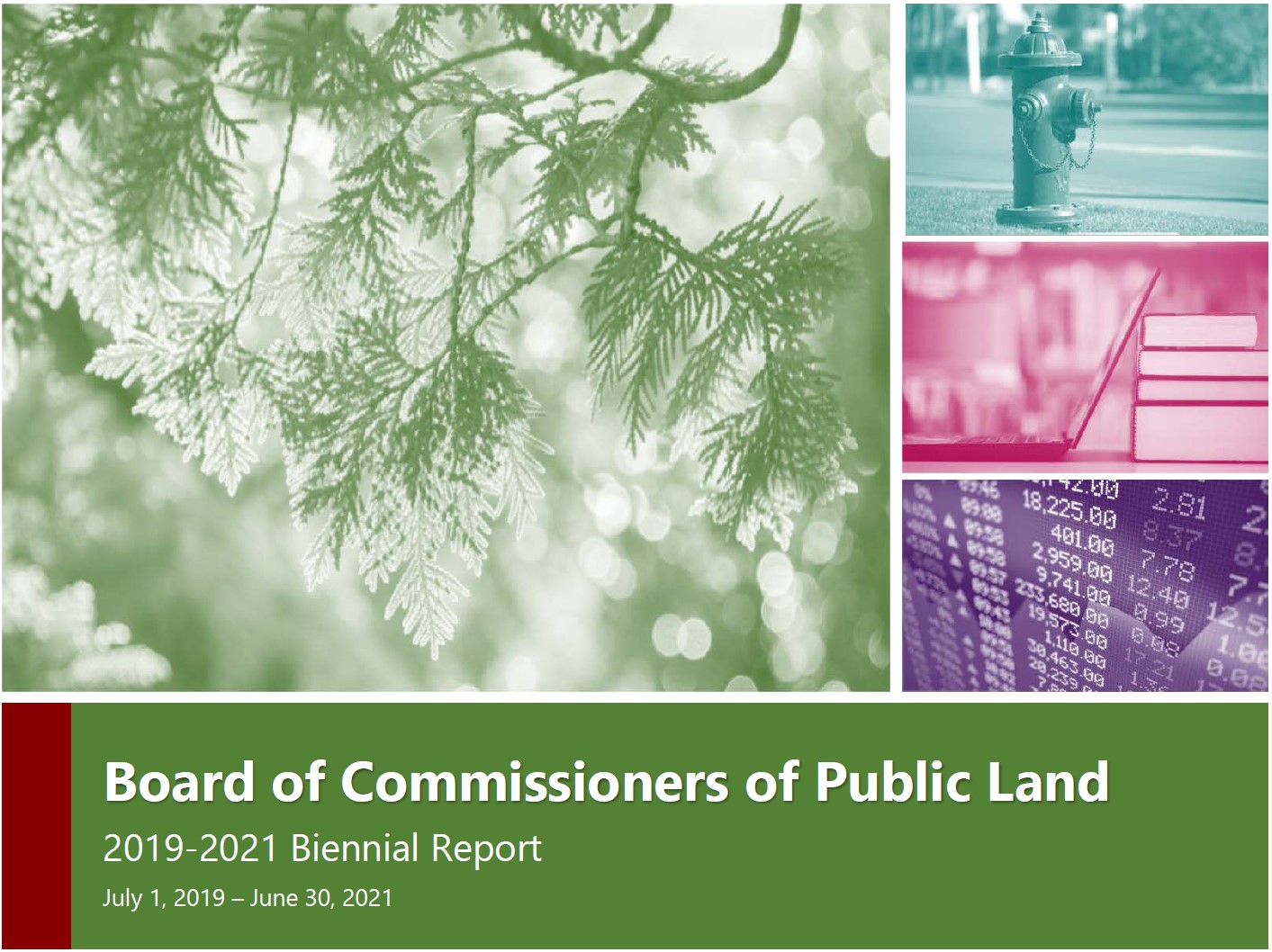 2019-2021 biennial report cover  which shows a  pine branch,  fire hydrant, laptop leanign agsinst a stack of books and  coputer