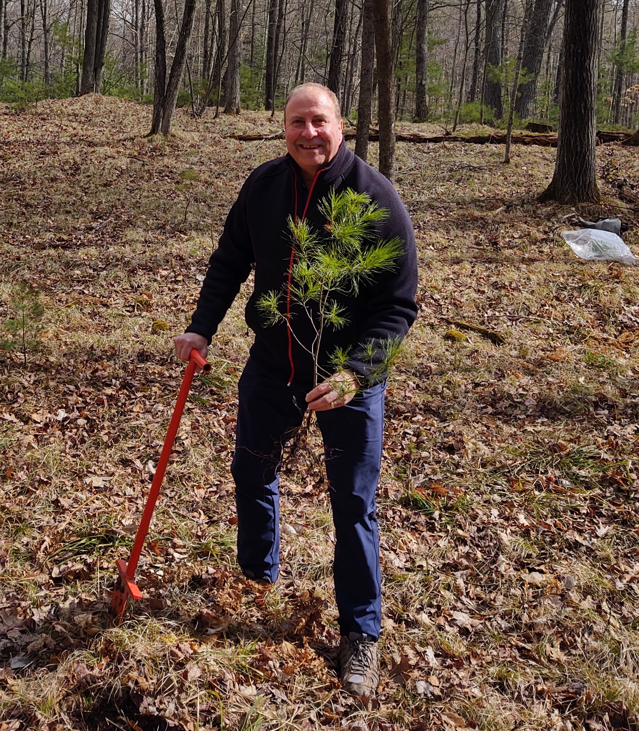 Tom German preparing to plant a tree.