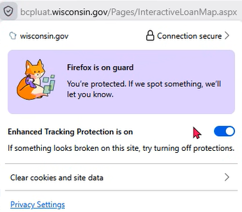 Screen capture of browser security settings